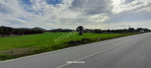 Yeni Foça Yolu Üzeri 19 Dönüm Çiftlik Yapımına Uygun Tarla