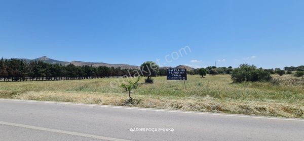 Y.foça Bucak Mevkiinde Sadullah Sever Cad.üzerinde Satılık Tarla