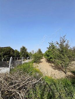 Çakırköy De Yatırım Fırsatı İki Parça Bahçe Satılık