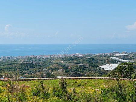 Alanya Da Deniz Manzaralı Doğa İçinde Tarla