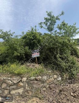 Kadıköyde Satılık 436 M2 Arsa