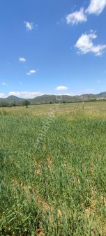 Burdur Ağlasun Hisarköy'de Yatırımlık Satılık Arazilerimiz