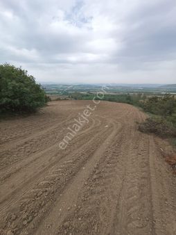 Bolu İli Göynük İlçesi Boyacılar Köyünde Yatırımlık Tarla