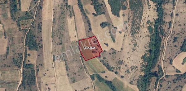 Bursa Yenişehir'de Barcın Köyü Hızlı Tren Projesi Yakını Satılık Arsa