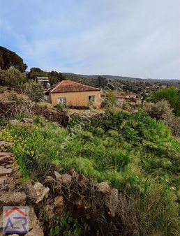 Ada Royalden Haydarlı Da Köy İçi 411 M2 İmarlı Arsa