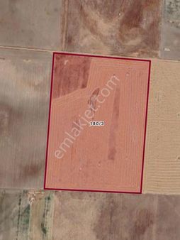 Sezenler Emlaktan Sarayönü Başhüyük Mahallesi'nde Satılık Tarla