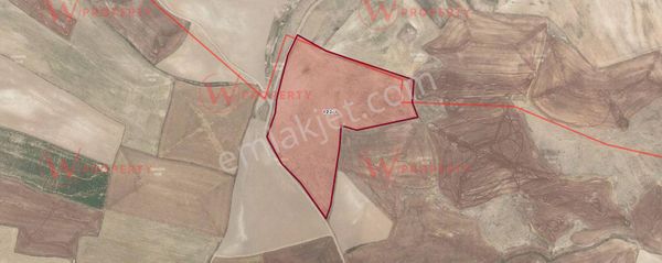 W Property'den Konya Halkapınar'da 43.200 M2 Tarla