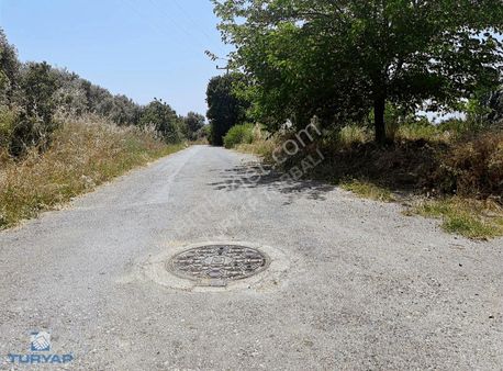 Torbalı Dirmil Mah 1732 M2 Tarla