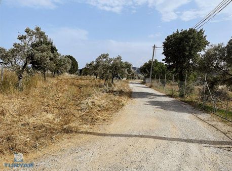 Torbalı Dirmil Mah 10316m2 Satılık Tarla