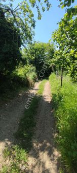 Erenler Değirmendere Yatırımlık Fındıklık 311/2