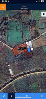 Habi Bahçesi Olmaya Müsait (kazıklı Köyü)