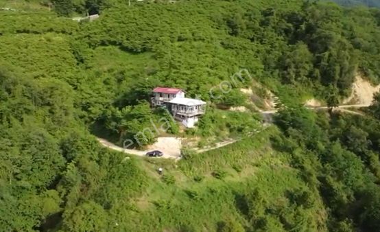 Trabzon Arsin'de Satılık Arazi