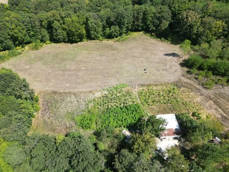 Kırklarelı Demırköy'de 10 Dönüm Satılık Tarla