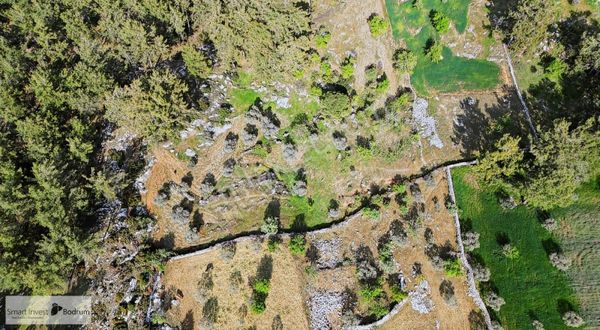 Milas Fesleğende Doğa İçinde Yatırımlık Tarla