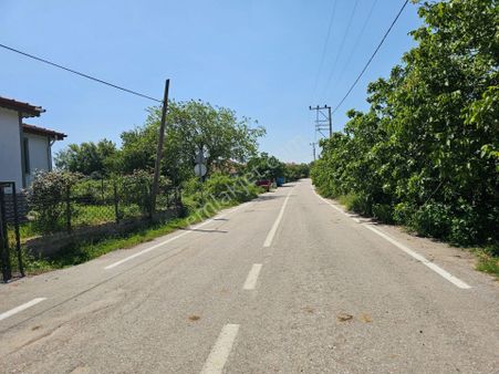 Kocaeli Kadriye Gülbahçe'de İnşaat Ruhsatlı Satılık Villa İmarlı Arsalar