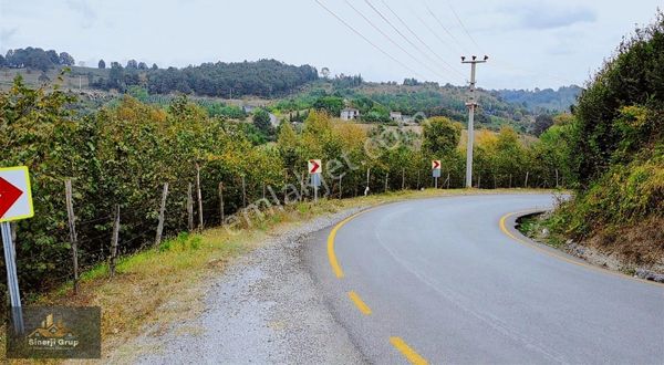 Yarıca Mahallesınde 7400 M2 Parselasyona Uygun %40 Imarlı Arsa