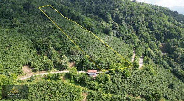 Kadifekale'de 7262 M2 Satılık Fındıklık