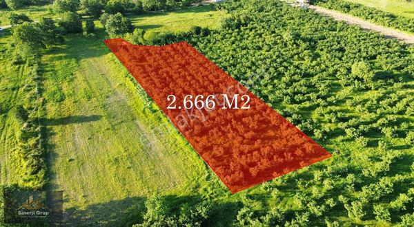 Sinerji Grup Erkan Köstereli'den Balıklı İhsaniye'de 2,666m2arsa