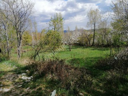 Ağlasun Asya Emlaktan Ağlasun Bala Mah De Satılık Hobi Bahçesi