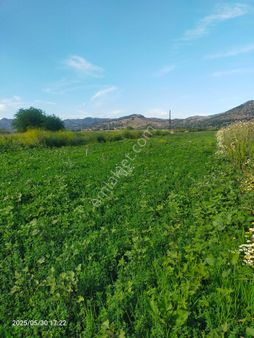 Saadet Korkmaz Emlak'tan Gökçeağıl'da Çanakkale Asfalta Sıfır Satılık 15 Dönüm Tarla