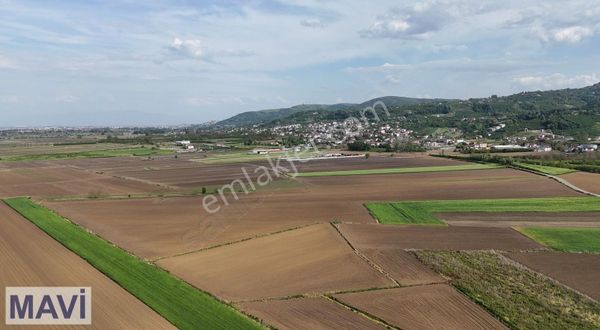 Serdivanda Satılık Tarla 5704m² Re/max Mavi Tuncay Şen'den