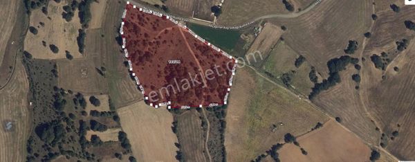 Bozüyük Akçapınar Köyü Kadastro Yola Cephe 22 Dönüm Tarla