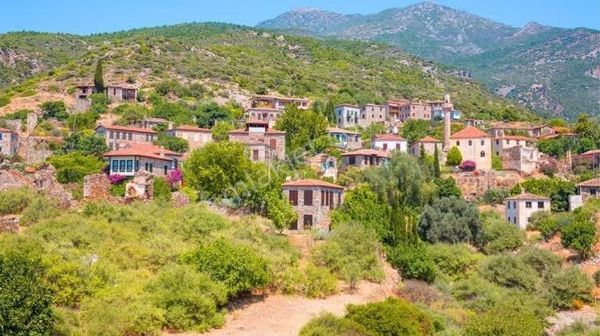 Aydın-söke-güllübahçe Priene Mahallesin’de 24 Dekar Satılık Zeytinlik