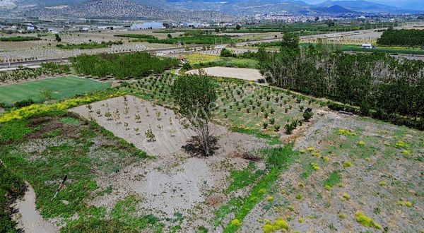 Çalım Gyo'dan Pamukova Kasabaaltı Mevkinde 1080m2 Tarla