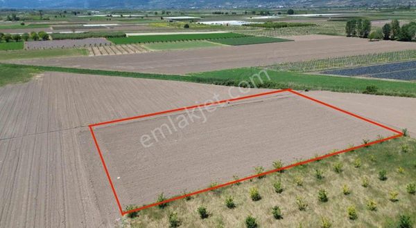 Çalım Gyo'dan Pamukova Çardak'ta 2712m2 Tarla