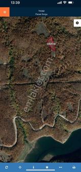 Güneş Emlaktan Orman İçi Tarla