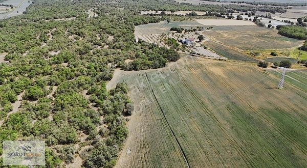 Enez Abdurrahim 19.625 M2 Satılık Tarla