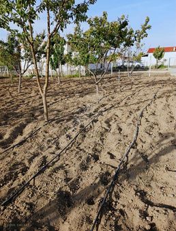 Lider Emlak'tan Çubuk Taşpınarda 900 M2 Hobi Bahçesi