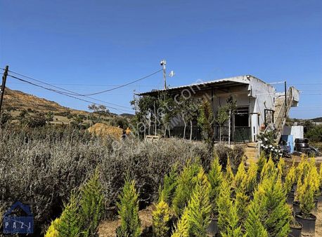 Anayola Cepheli 7.483 M² Arazi