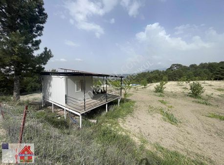 Honaz Aydınlarda 20 Dönüm Cevizlik Elektrik Su Ev İnternet ...