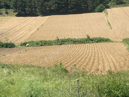 İzmir Ödemiş Subatan’da Satılık Köşe Parsel Tarla!