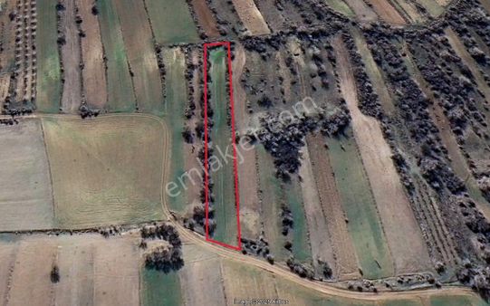 Mevsim Gayrimenkulden Alpavut Köyünde Yolu Olan Satılık Tarla