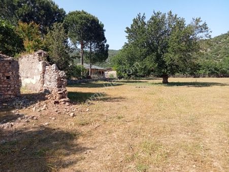 Falcon Dan Fethiye Kayaköy De 4793m²