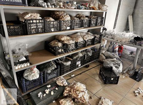 Talas Mevlanada 65 M2 Satılık Dükkan