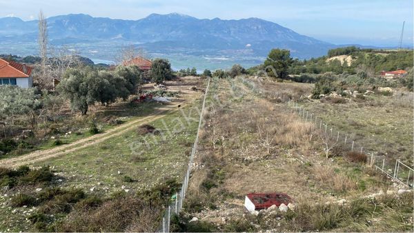 Muğla Seydikemerde Satılık 2285m2 Müstakil Tapulu Tarla