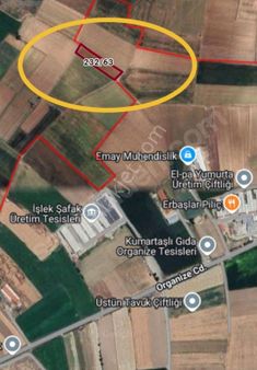 Organize İle Susuz Arası Satılık Arazi