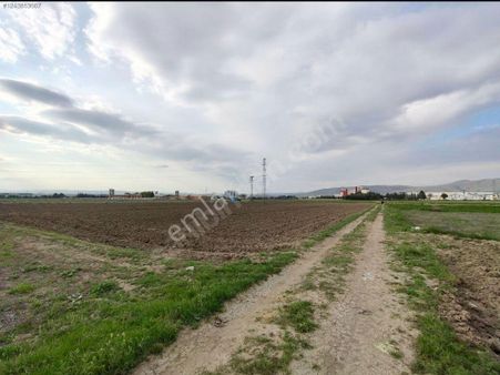 Susuz Atakey Arkası Satılık Arazi