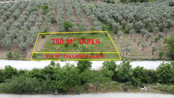 Yeniköy Altı Kuzuluk Mevkinde Hobi Bahçesine Uygun 750 M² Tarla