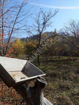 Erkmende Satılık Bahçe