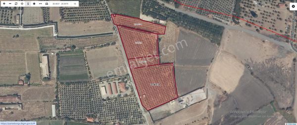 Salihli Caferbey Mahallesinde Satılık 19.740 M2 Zeytinlik