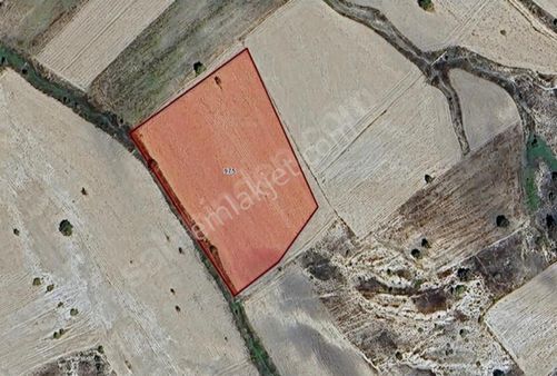 Pay'dan Çavdarhisar Akpınar Köyünde Satılık Tarla