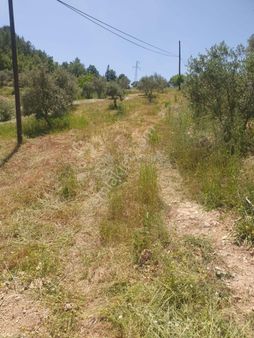 Hayal Gayrimenkulden Yatırımlık Tarla