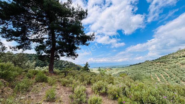 Bursa İznik Elbeylide Doğa Ve Göl Manzaralı Arazi
