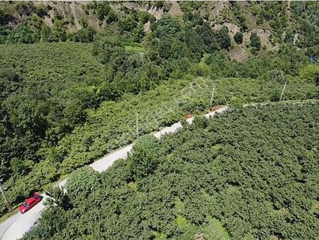 Trabzon Akçaabat'ta Satılık Arazi