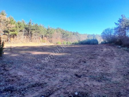 Hayal Emlak'tan Muğla Kuyucak Mah. 1376m2 Satılık Tarla