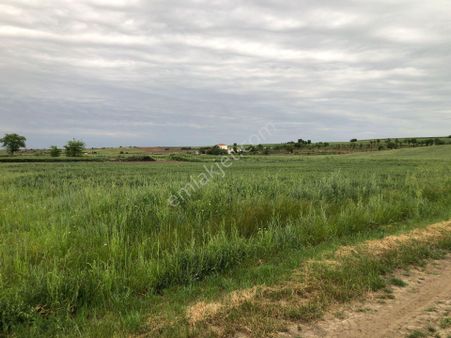 Edirne Uzunköprü Mesçit Mahallesinde Satılık Tarla